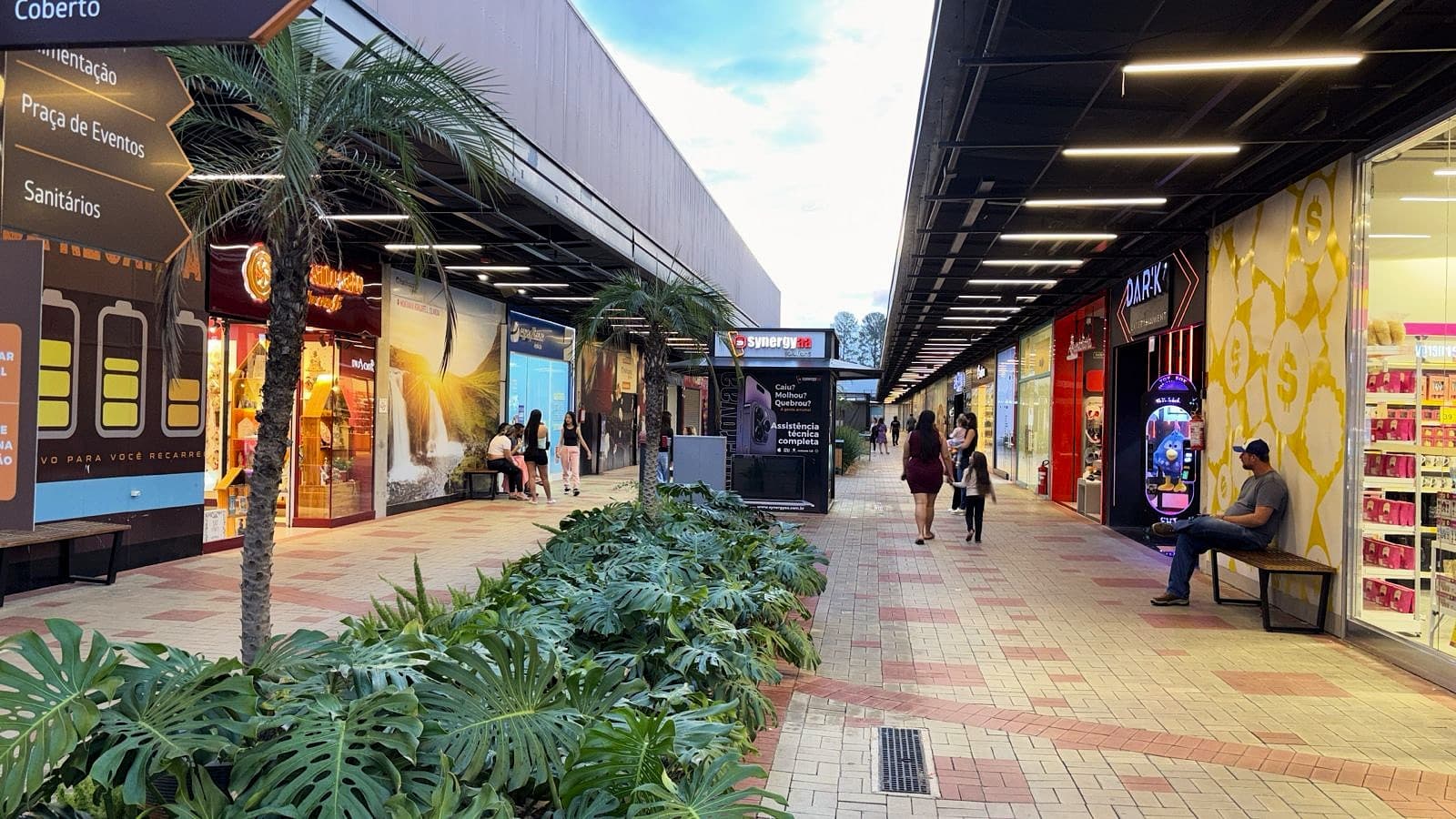 Galeria 7